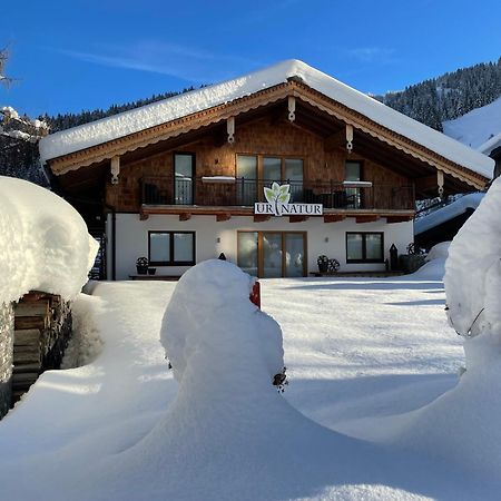 Ur-Natur Appartements Maria Alm am Steinernen Meer Buitenkant foto